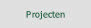 Projecten.