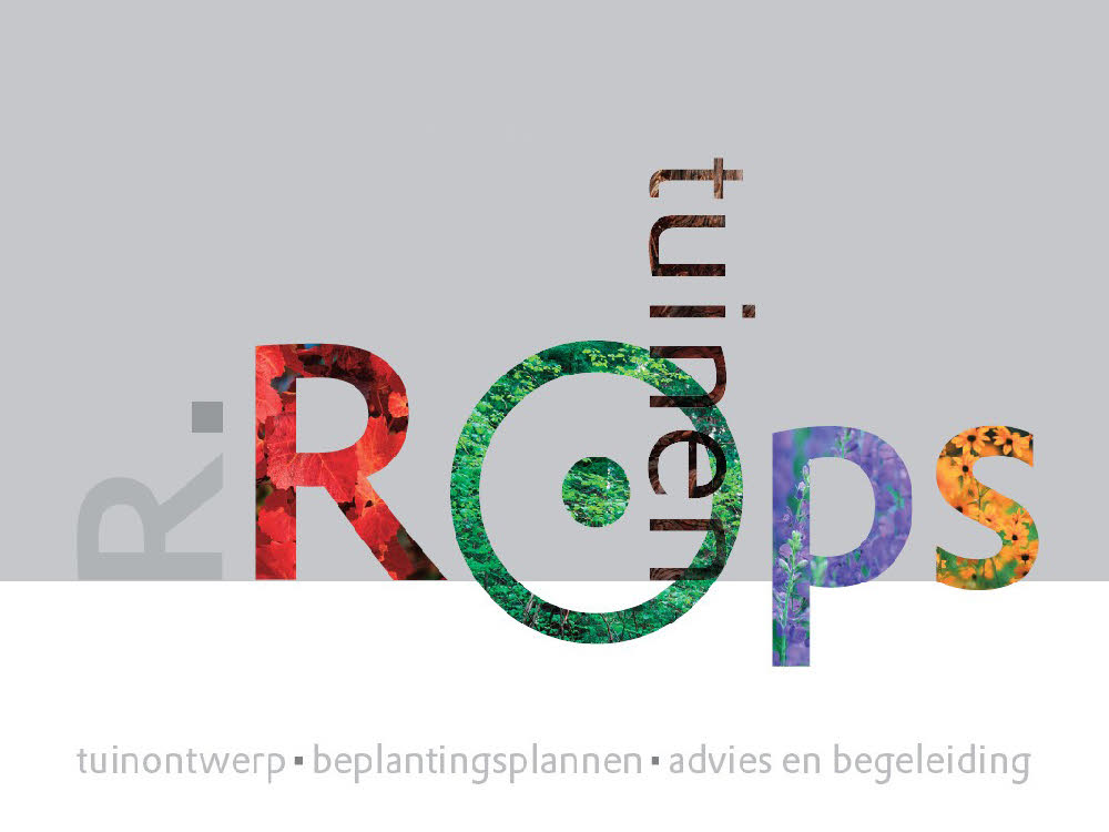 Introductie